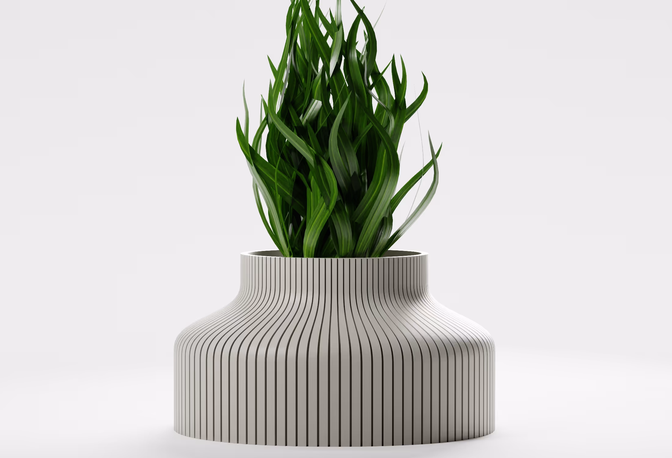 Green plant with long leaves inside a round white vase with vertical black stripes on a white background.