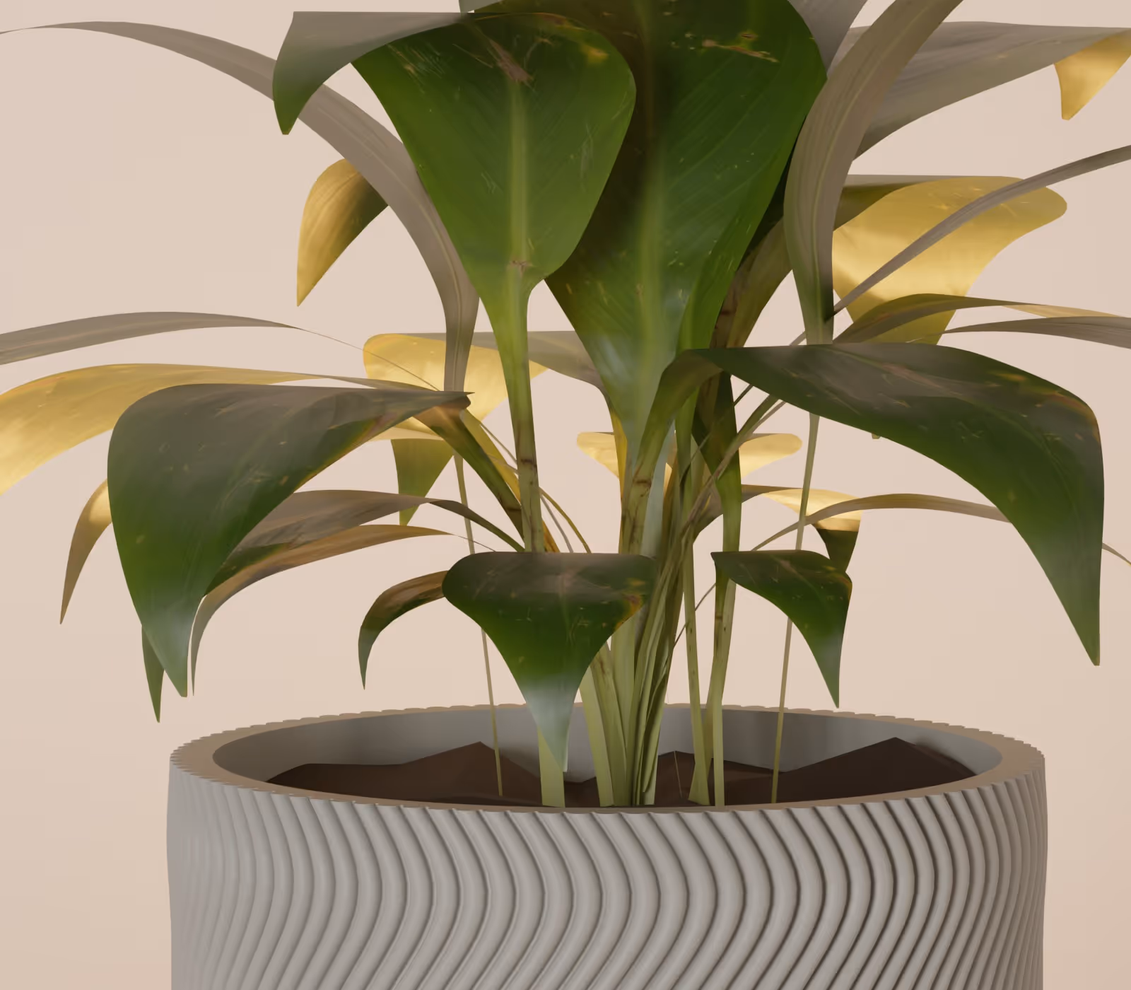 Green and yellow leaves growing from a textured gray pot with brown soil inside.