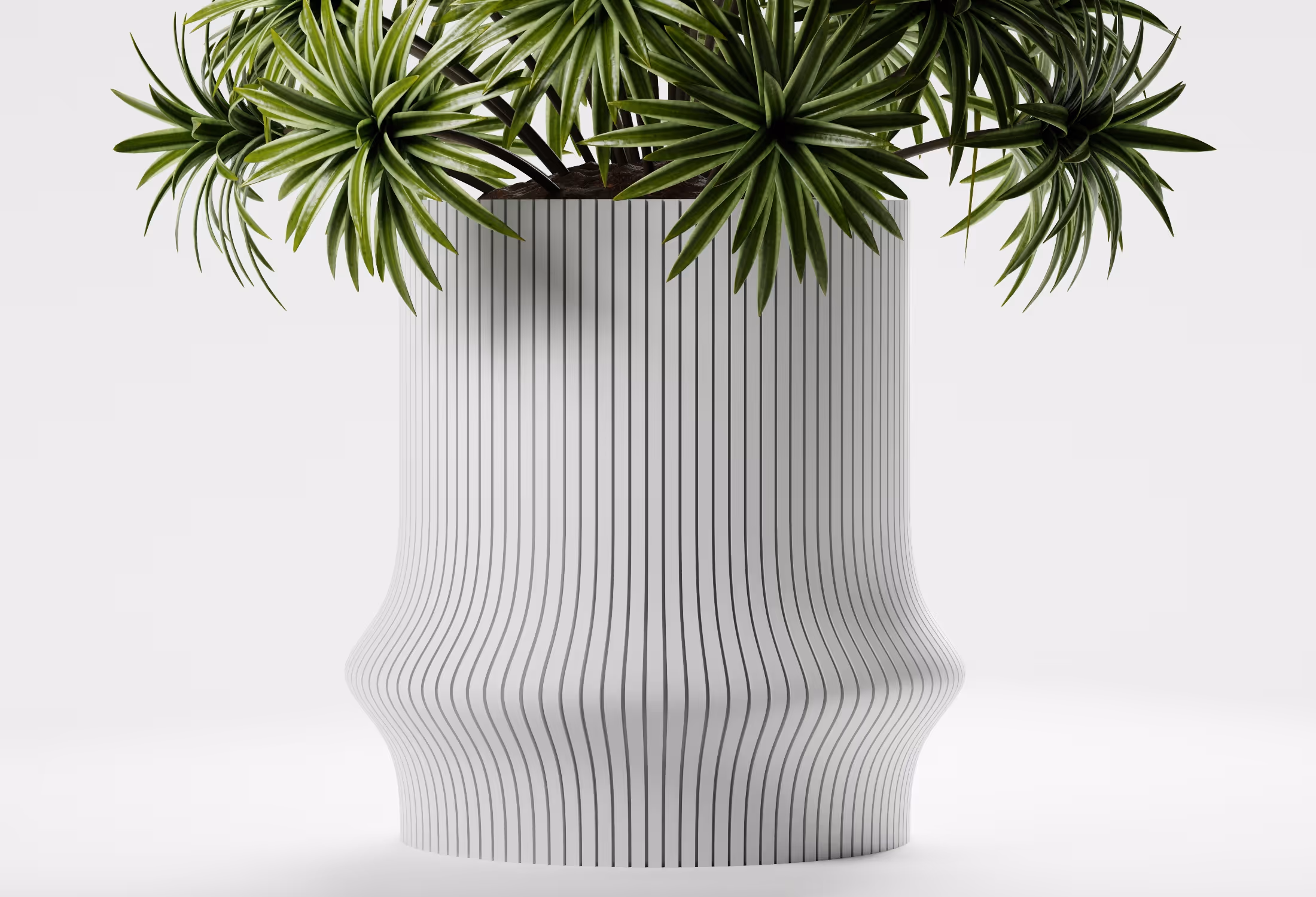 White vase with narrow vertical black stripes holding green spiky foliage on a white background.